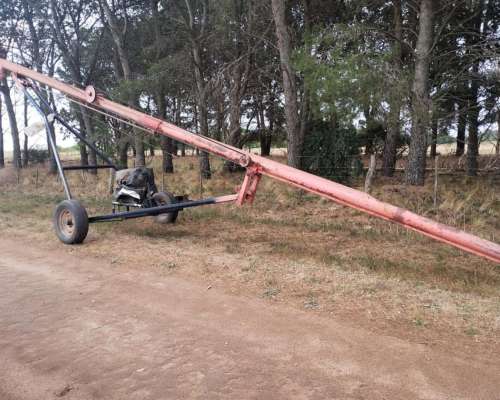 Vendo Chimango de 12 Mts