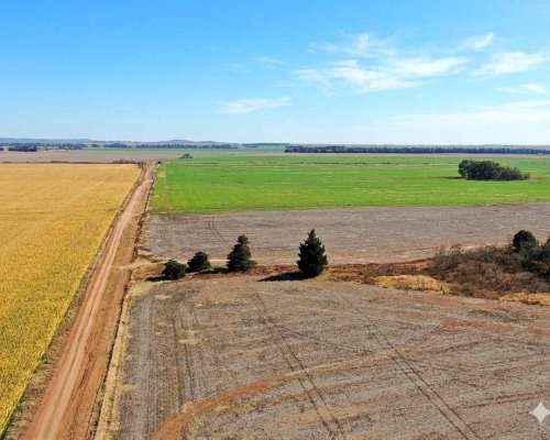 Río Cuarto, Córdoba - 258 Ha