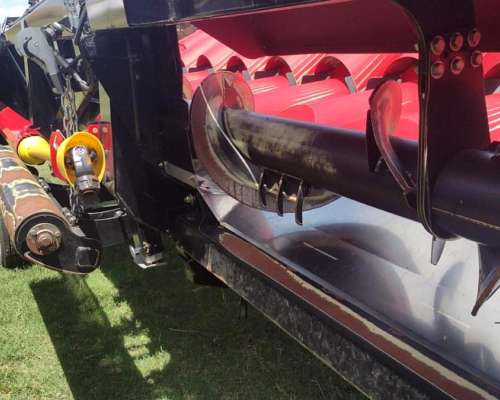 Maicero Franco Fabril. año 2024. 14 a 52 cm