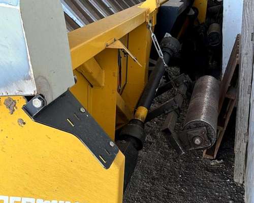 Maizco Premium 15 a 42 cm año 2018