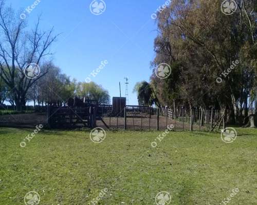 Campo en Venta 460 Has en Rauch