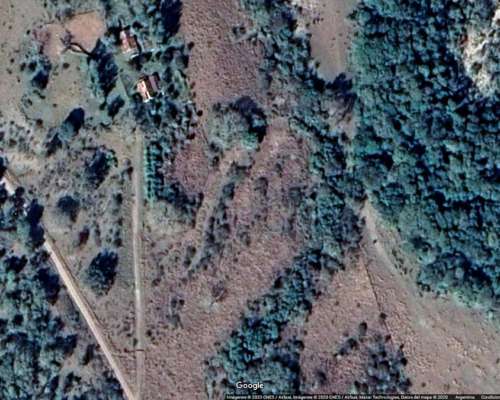 Campo Agricola Ganadero en Chaco Zona Selvas del Rio de ORO