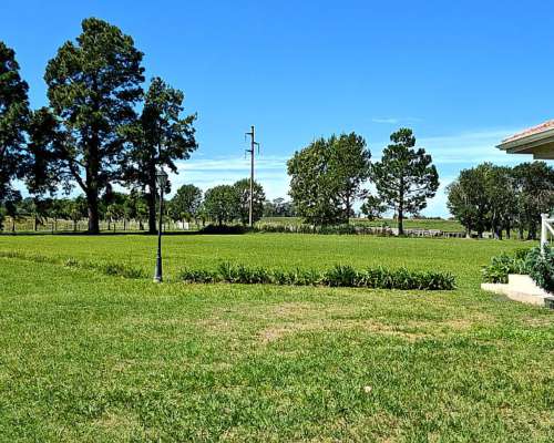 Venta. 371 Has, en Gualeguaychú, Haras “LA Trinidad”.