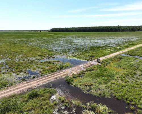 Pcia. de Corrientes - Pago de los Deseos 254 Has