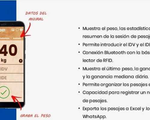 Balanza Kit Indicador Baston Programa Trazabilidad