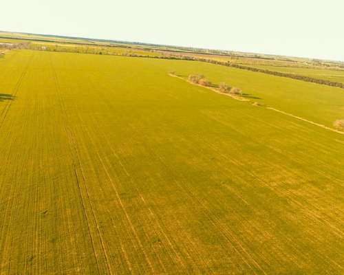 Campo en Venta Rafaela