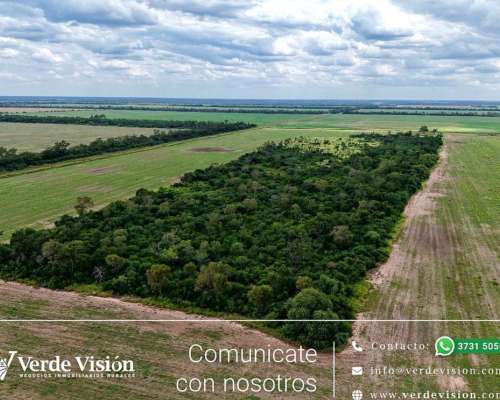 602 Has en Venta - Pcia del Chaco, las Breñas