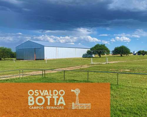 Campo Agricola-ganadero – 900 Ha Guatrache, la Pampa