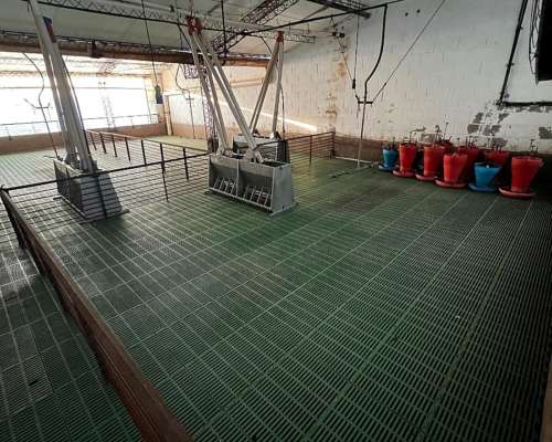 Equipamiento de Cerdos para Recria o Destete