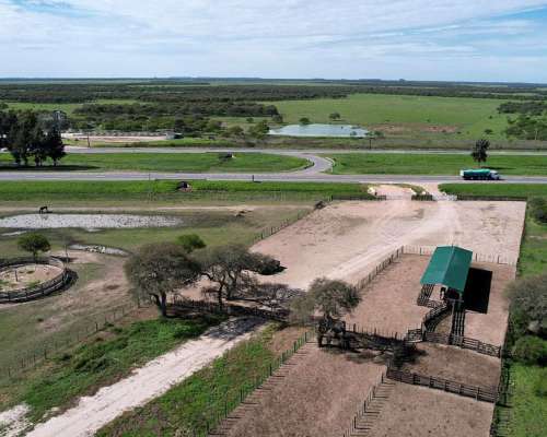 Ceibas, Gualeguaychú, Entre Ríos - 1.000 Ha