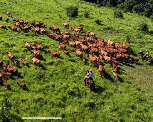 512 Ha Preciosa Estancia en Misiones