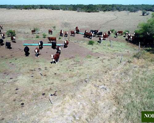 Gualeguay, Entre Ríos - 3737ha
