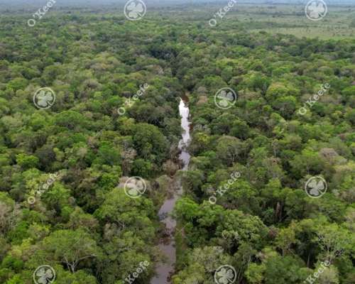 Campo en Venta de 1150 Has en Formosa. Cerca de Ruta Nac. 11