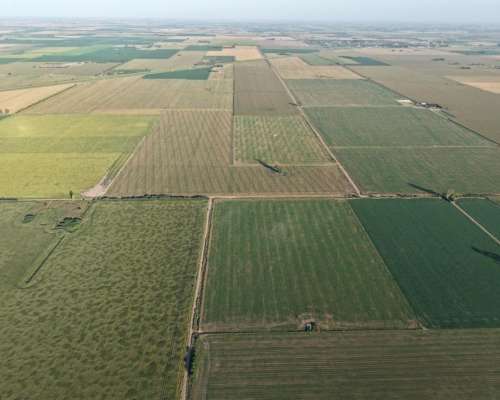 80 HA. Agricolas. Centeno. Santa FE.