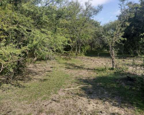 36 Has en la Paz, Entre Rios