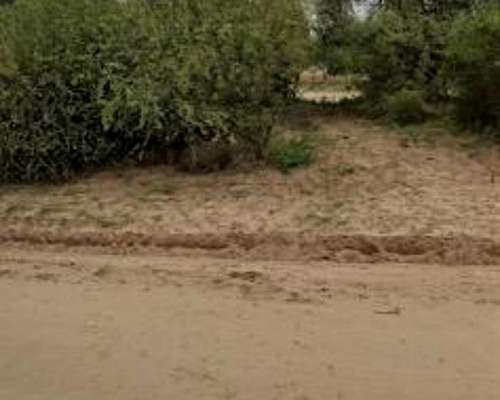 Campo de 104hs Ganaderas con Escritura, Agua LUZ Electrica