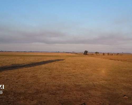 40 Has en San Genaro Sobre Ruta