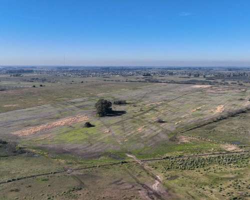 Pcia. de Buenos Aires - Marcos PAZ 185 Has