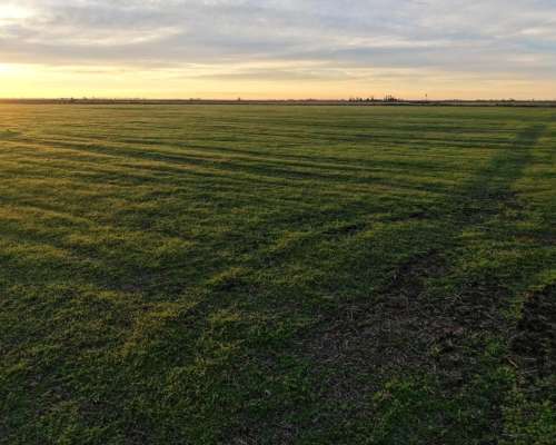 51 HA. Agrícola. el Trebol (santa FE)