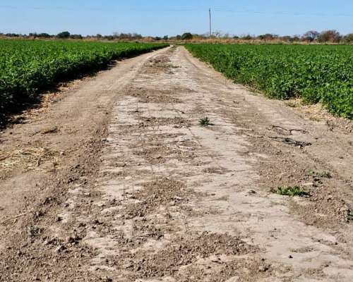 Impecable Feed LOT Cercano a la Banda, Santiago.