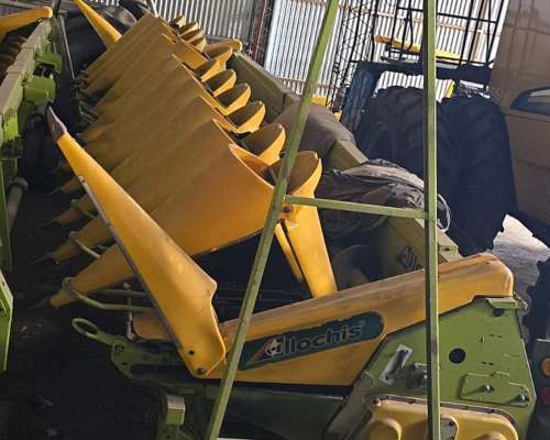 Maicero Allochis de 12 a 70 cm