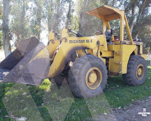 Pala Cargadora Michigan 55 (id553)