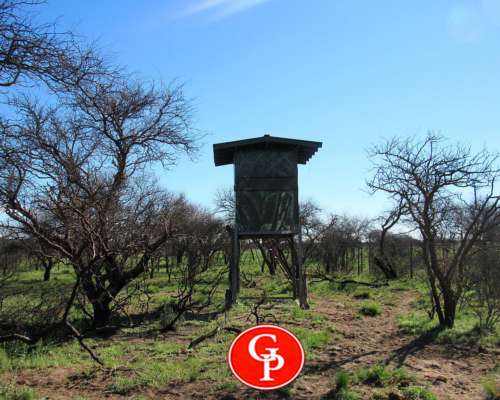 En Venta, 2.500 Has, General Acha, la Pampa.-