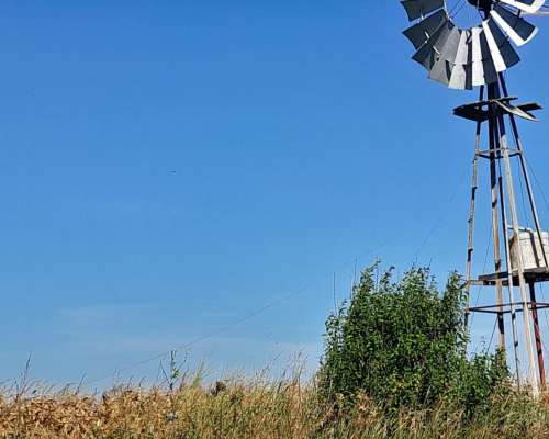 Vdo 300 Has Agrícola Mixto Alquilado Cerca Ruta 65 del Valle