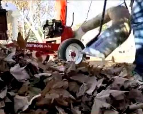 Aspiradora de Hojas Micelli
