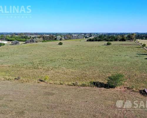 Campo Entre Manzanares y Open Door 83 Ha