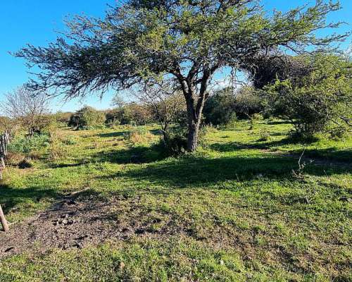 Vendo Campo Ganadero en San Jose de Feliciano