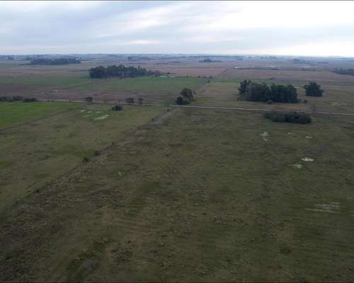 Campo en Venta 29 Hectáreas en Magdalena