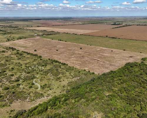 Campo Mixto. 154 HA. SA Pereira, Santa FE.