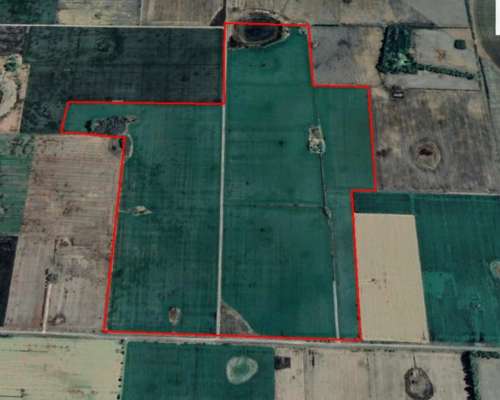 Campo Agrícola de 265 Hectáreas ( Suelo 1 y 2 )