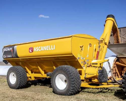 Tolva Autodescargable Ascanelli Magnum+ 30 TN, Nueva.