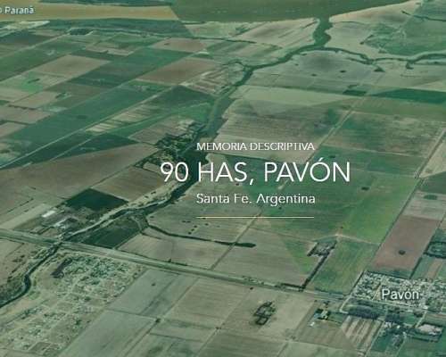 Campo 90 Has en Pavon, Santa FE 🌻🐄☘️