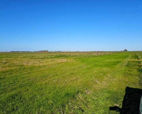 Campo Venta Castelli Desde 300 Ha Ganaderas