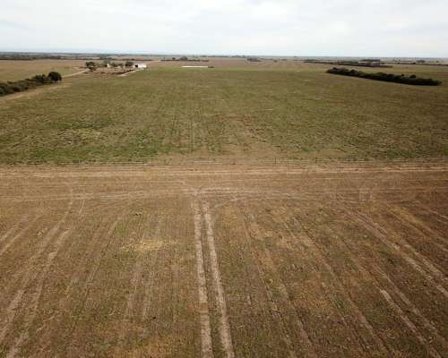 Sachayoj 850 Hectáreas Agricolas