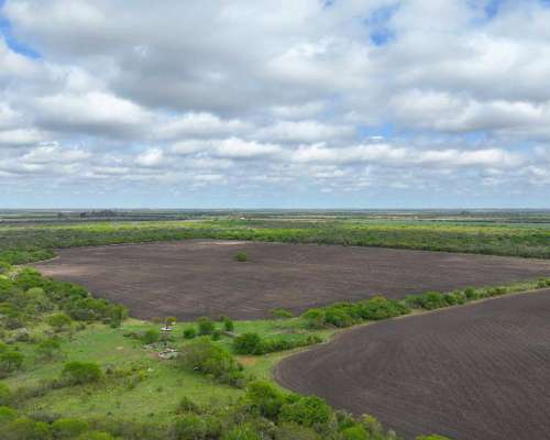 Pcia. de Entre Rios - Maria Grande 526 Has