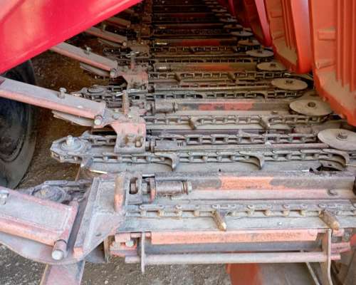 Maicero de Grande 13 a 52