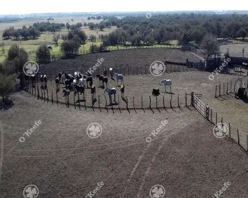 Campo en Venta de 13.747 Has. Ibicuy, Entre Rios