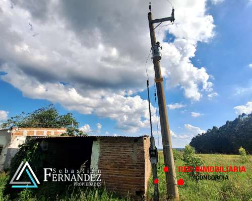 Campo en Venta, Zona Citricola/forestal Cerca de Zona Urbana