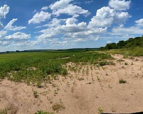 252 Hs 200 Agricolas en Villa Gutierrez LUZ Agua