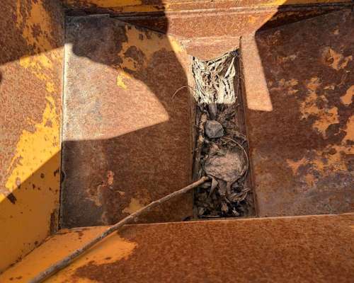 Moledora Quebradora Vica Trifasica