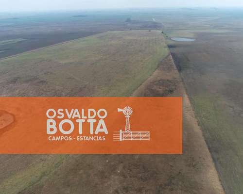 Campo Agrícola Ganadero en Venta, Bolivar, Buenos Aires