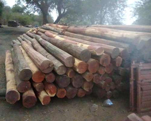 Postes Quebracho Colorado Labrados 3 Mts