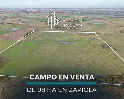 Campo Ganadero en Zapiola