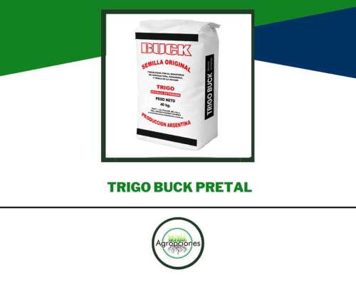 Semilla de Trigo Pretal - Buck