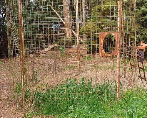 Silo Modular Reforzado de 30 TON Usado