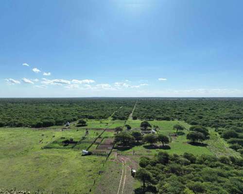 Pcia. de San Luis - Arizona 2307 Has